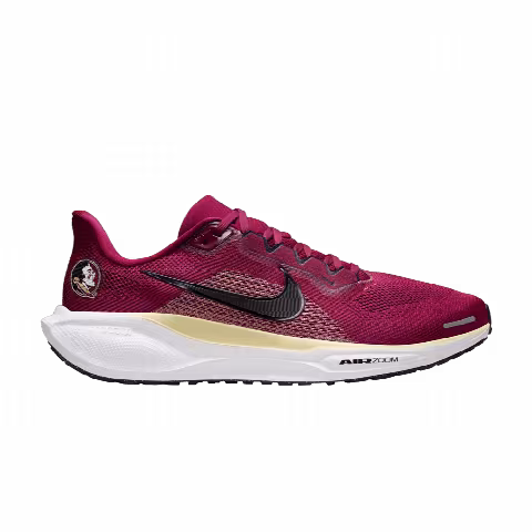 NCAA x Nike Air Zoom Pegasus 41 'Florida State'