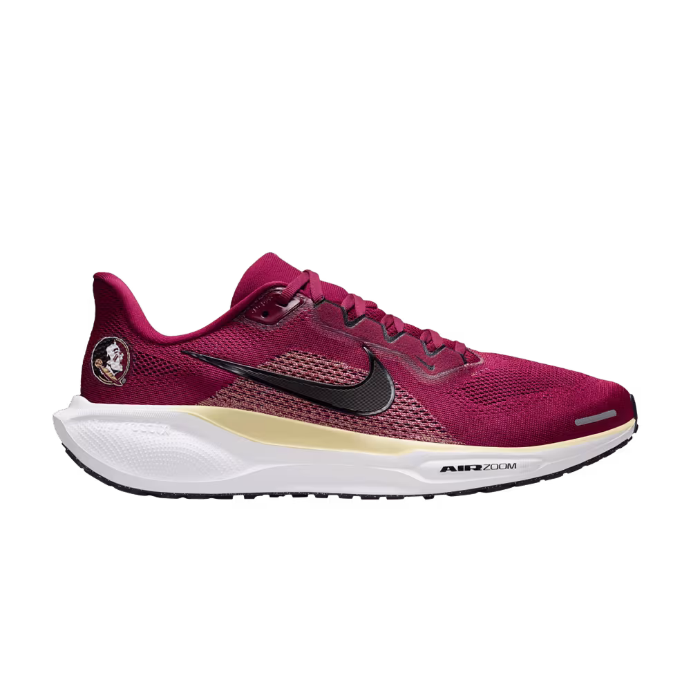 NCAA x Nike Air Zoom Pegasus 41 Florida State
