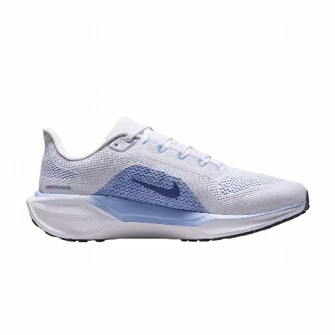 Nike Wmns Pegasus 41 Wide 'White Diffused Blue'
