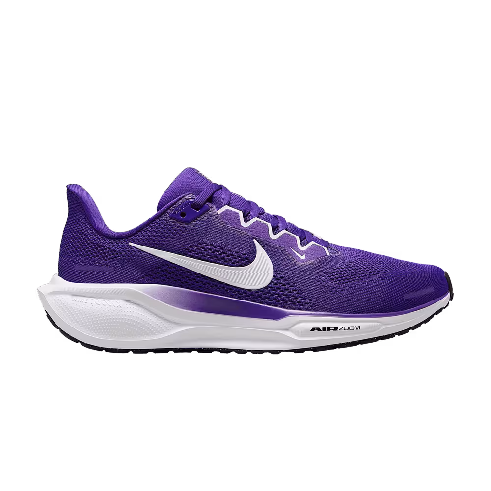 Nike Women's Pegasus 41 Court Purple