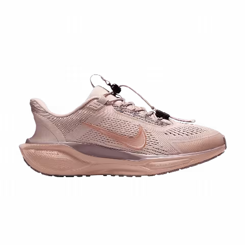 Nike Wmns Air Zoom Pegasus 41 EasyOn 'Silt Red'