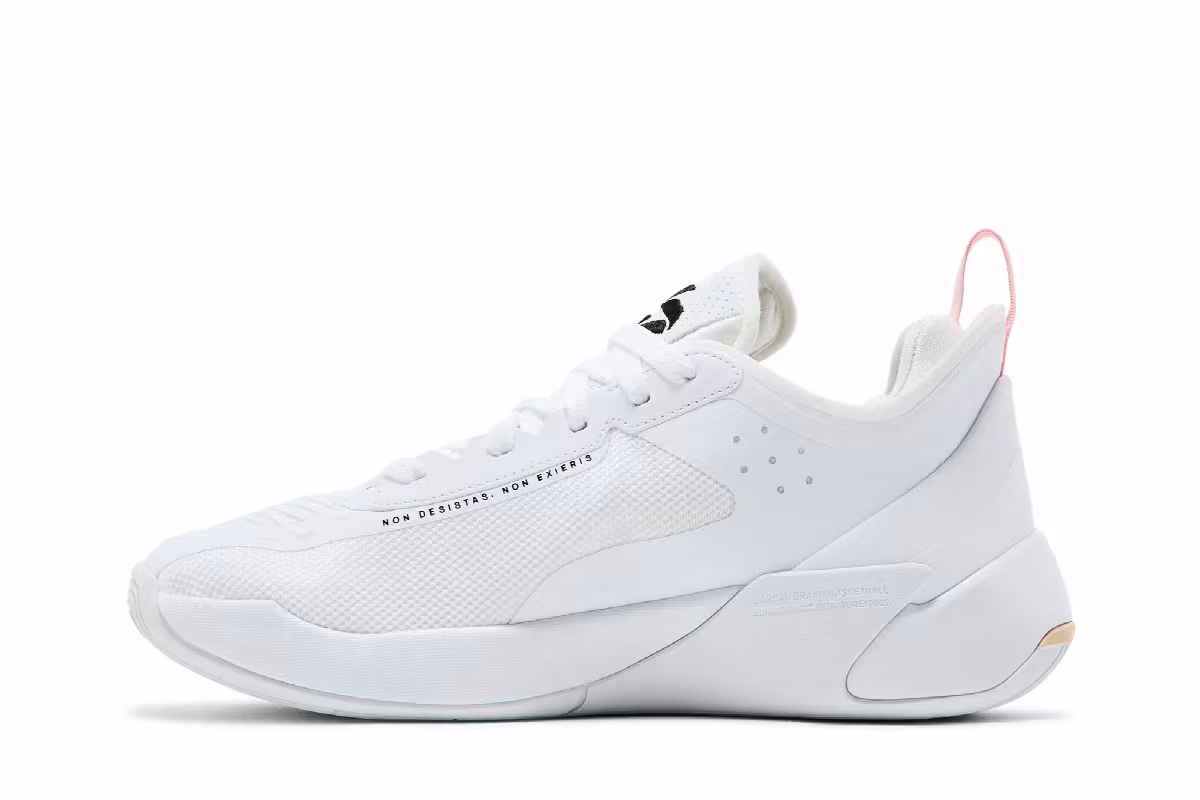 Air Jordan Luka 1 GS My Dawgs, view 4