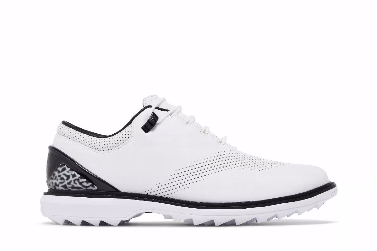 Air Jordan ADG 4 White Black, view 2