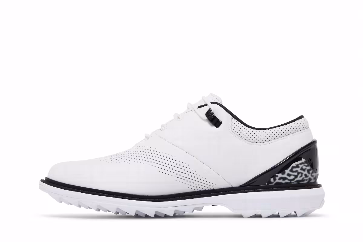 Air Jordan ADG 4 White Black, view 4