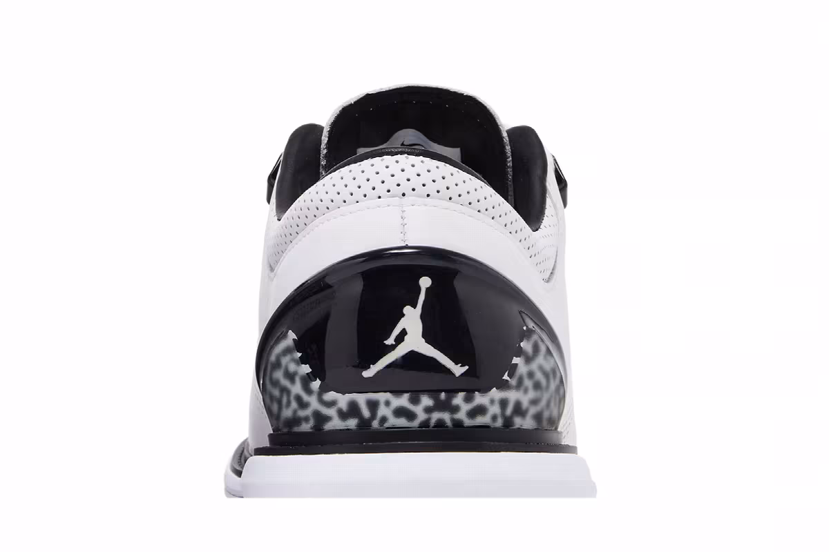 Air Jordan ADG 4 White Black, view 8
