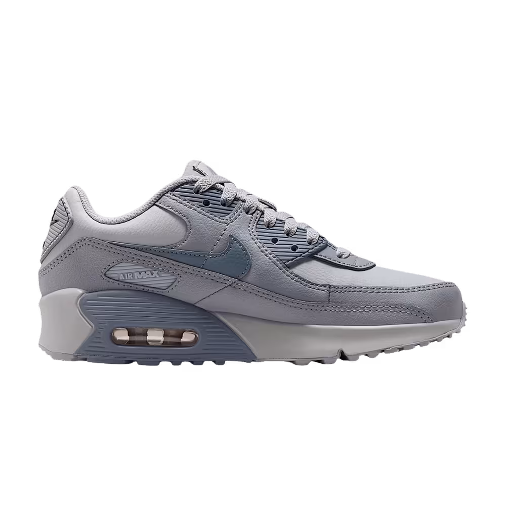 Nike Air Max 90 LTR GS Wolf Grey Stealth