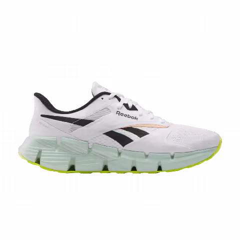 Reebok Zig Dynamica 5 'White Aqua Dust'