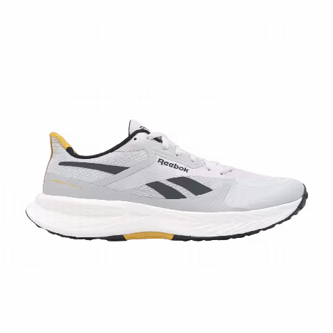 Reebok Floatride Energy 6 'Moon Grey Heritage Gold'