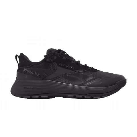Reebok DMX Trail GORE-TEX 'Black Pure Grey'