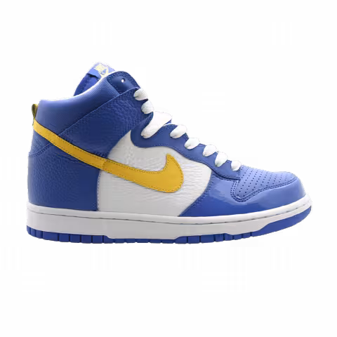 Nike Dunk High
