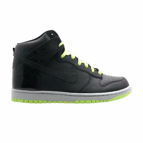 Nike Dunk High