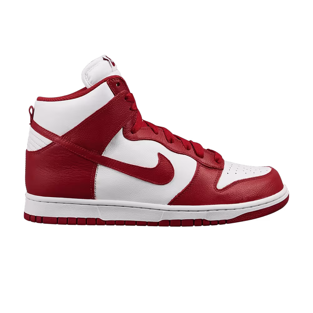 Nike Dunk QS Be True