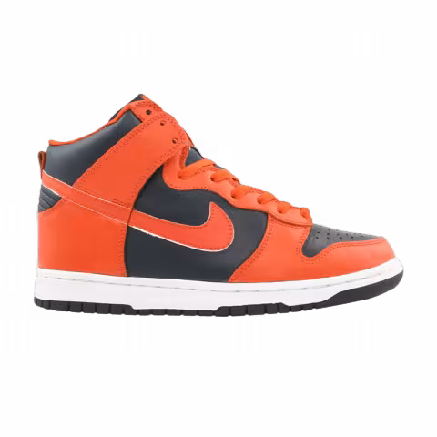 Nike Dunk High