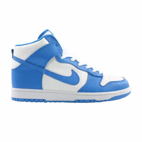 Nike Dunk High