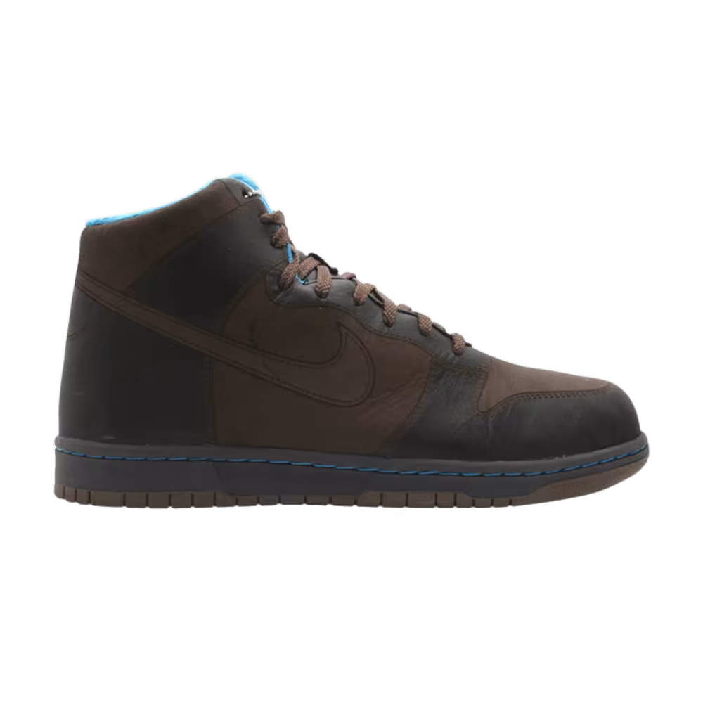 Nike Dunk Hi 1 Piece Goretex