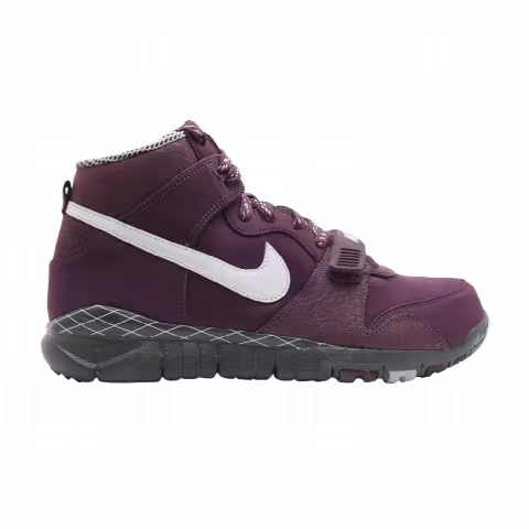 Nike Trainer Dunk High