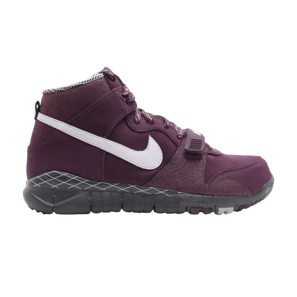 Nike Trainer Dunk High