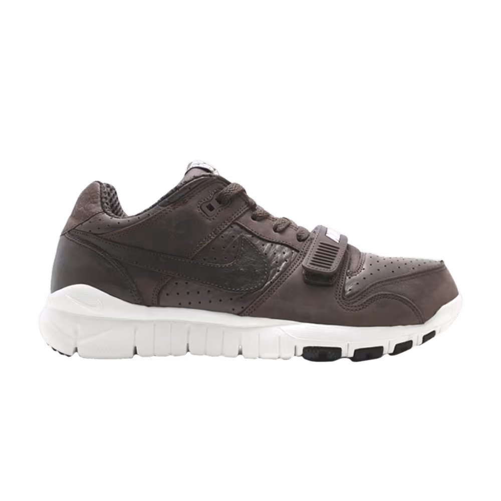 Nike Trainer Dunk Low stussy world tour