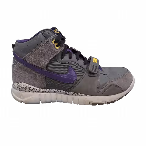 Nike Trainer Dunk High