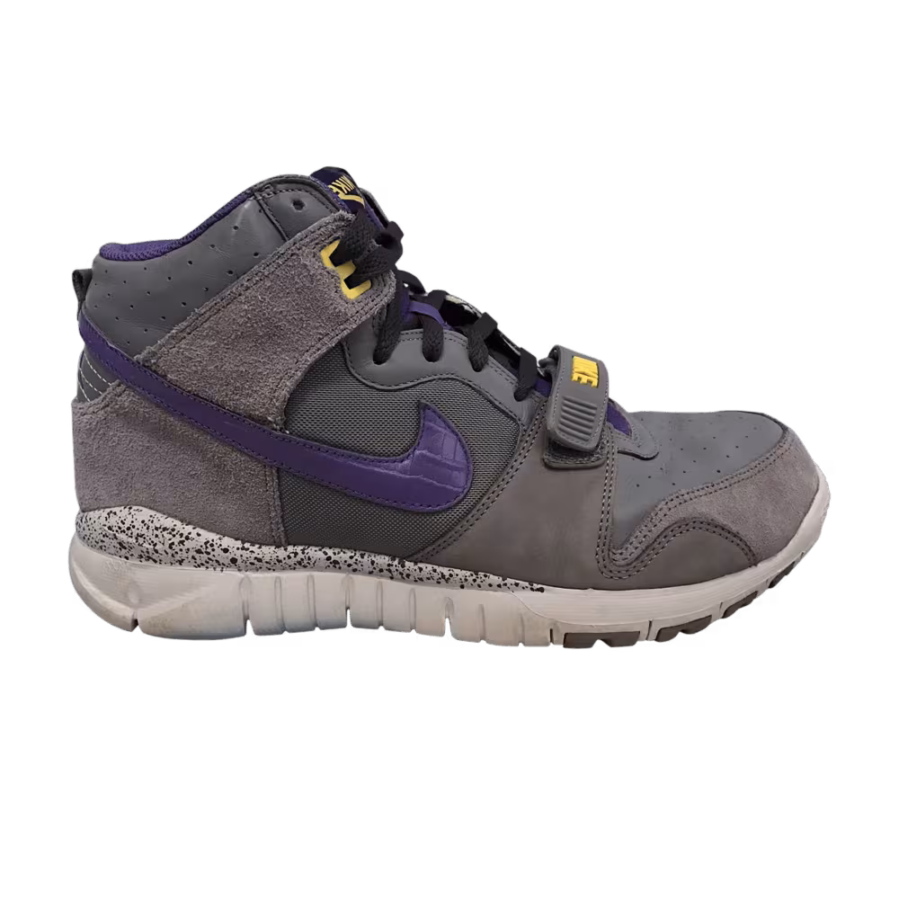 Nike Trainer Dunk High