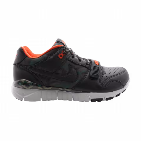 Nike Trainer Dunk Low