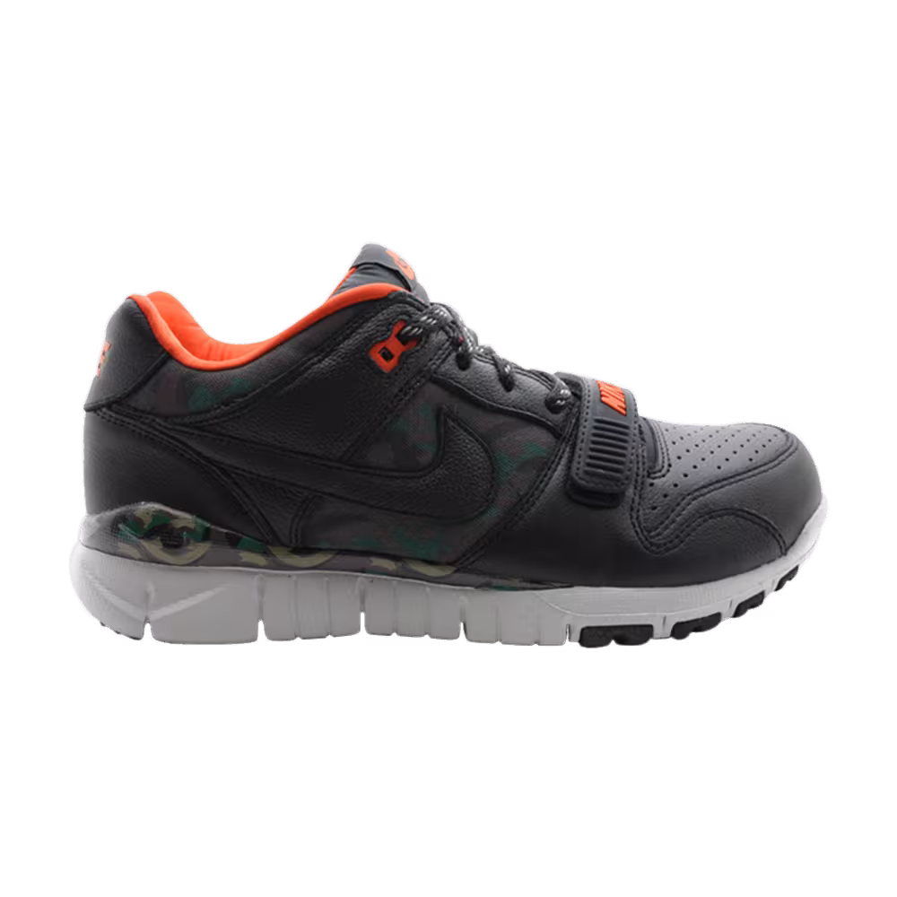 Nike Trainer Dunk Low