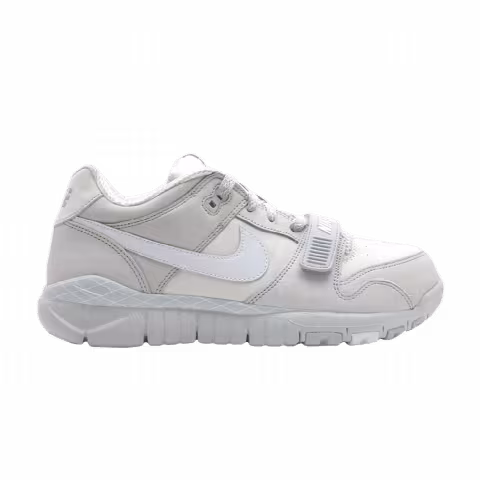 Nike Trainer Dunk Low