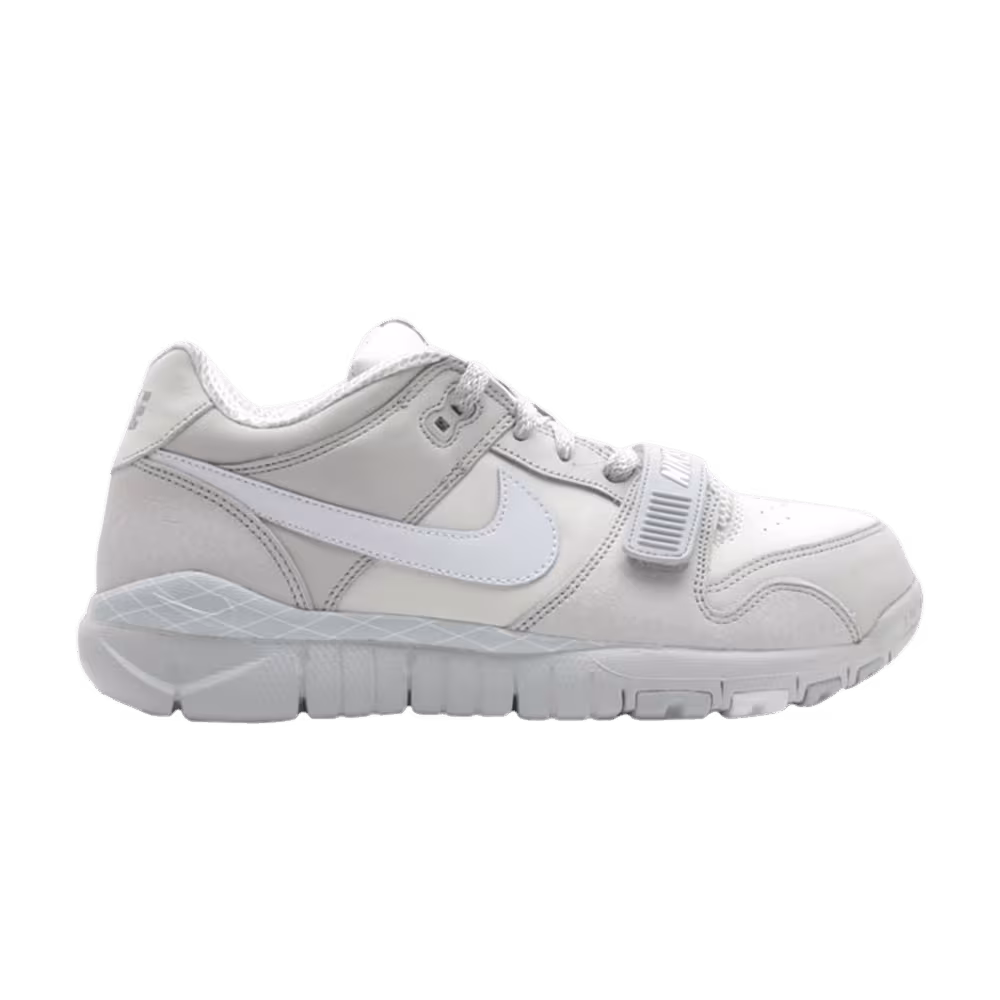 Nike Trainer Dunk Low