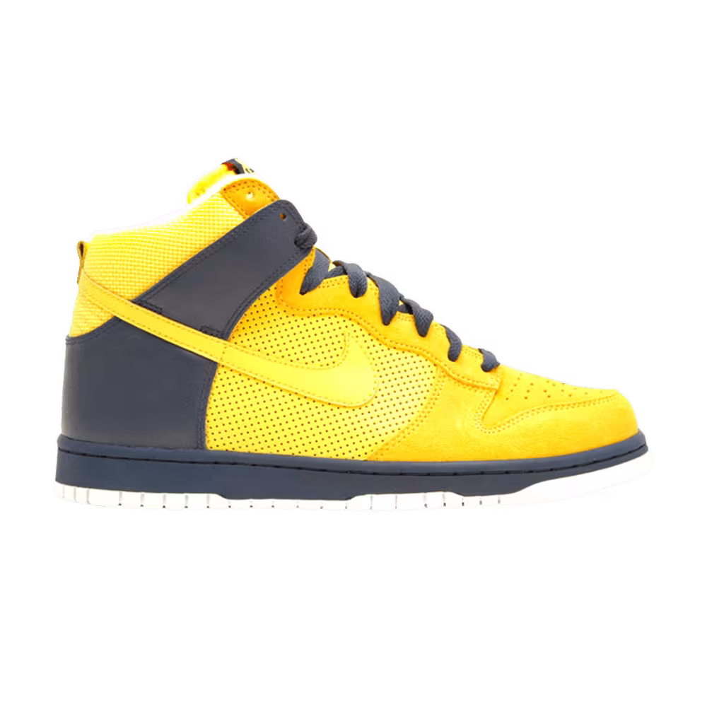 Nike Dunk High