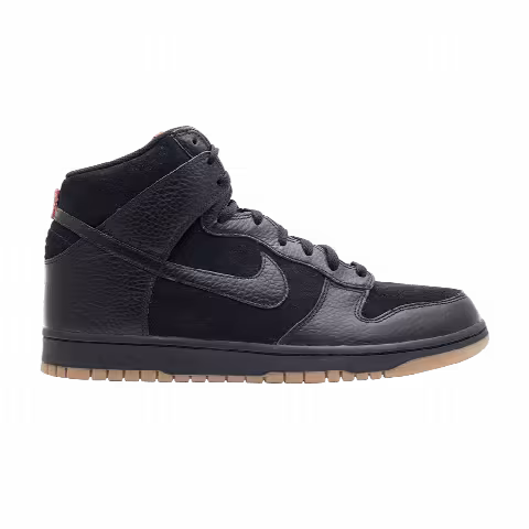 Nike Dunk High