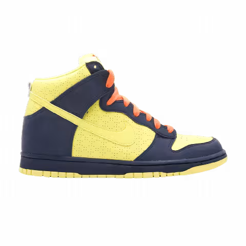 Nike Dunk Hi