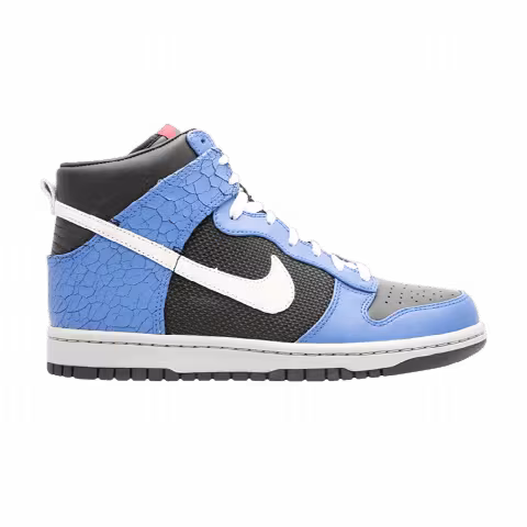 Nike Dunk High Premium