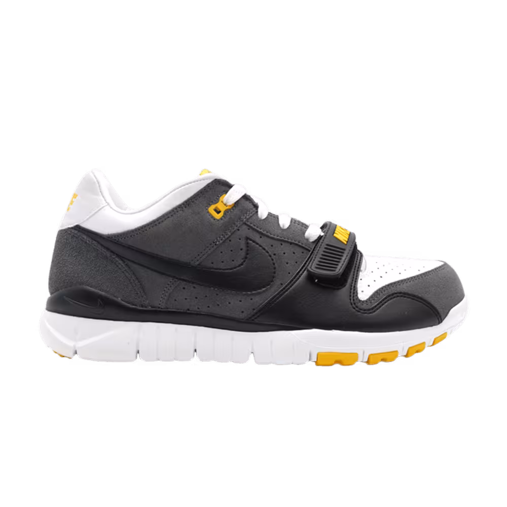 Nike Trainer Dunk Low Usa Laf Livestrong