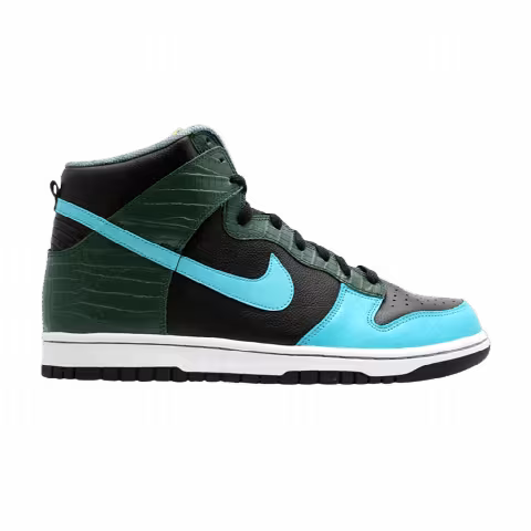 Nike Dunk Hi