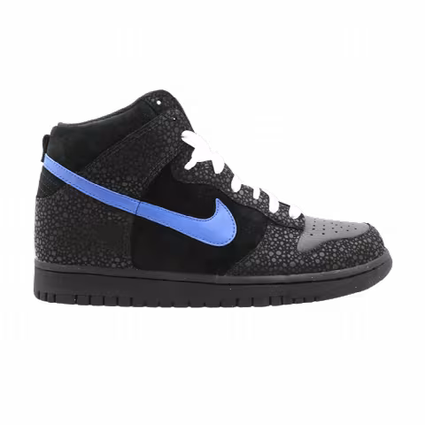 Nike Dunk High