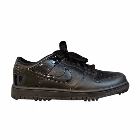Nike Dunk NG Golf 'Black'