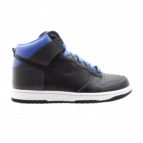 Nike Dunk High