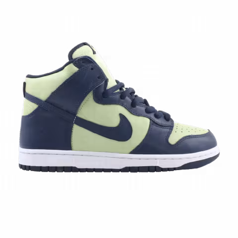 Nike Dunk High