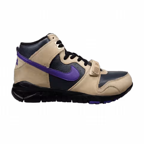 Nike Trainer Dunk High