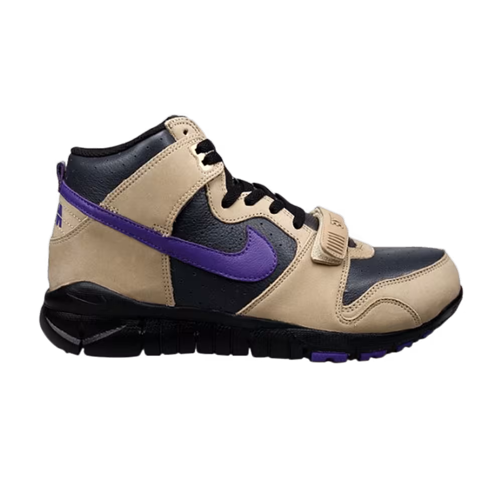 Nike Trainer Dunk High
