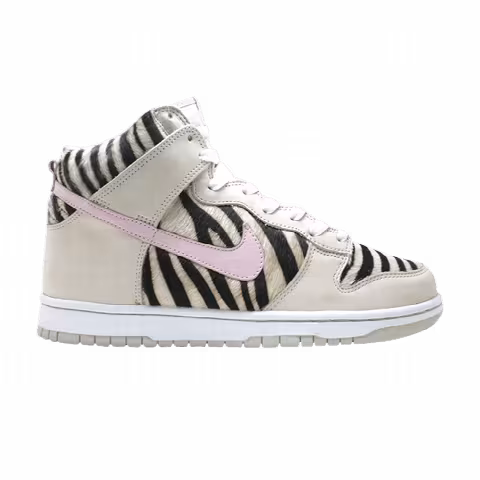 Nike Wmns Dunk Hi