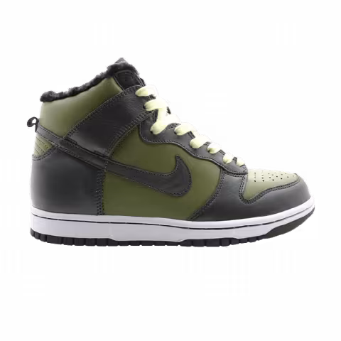 Nike Wmns Dunk Hi