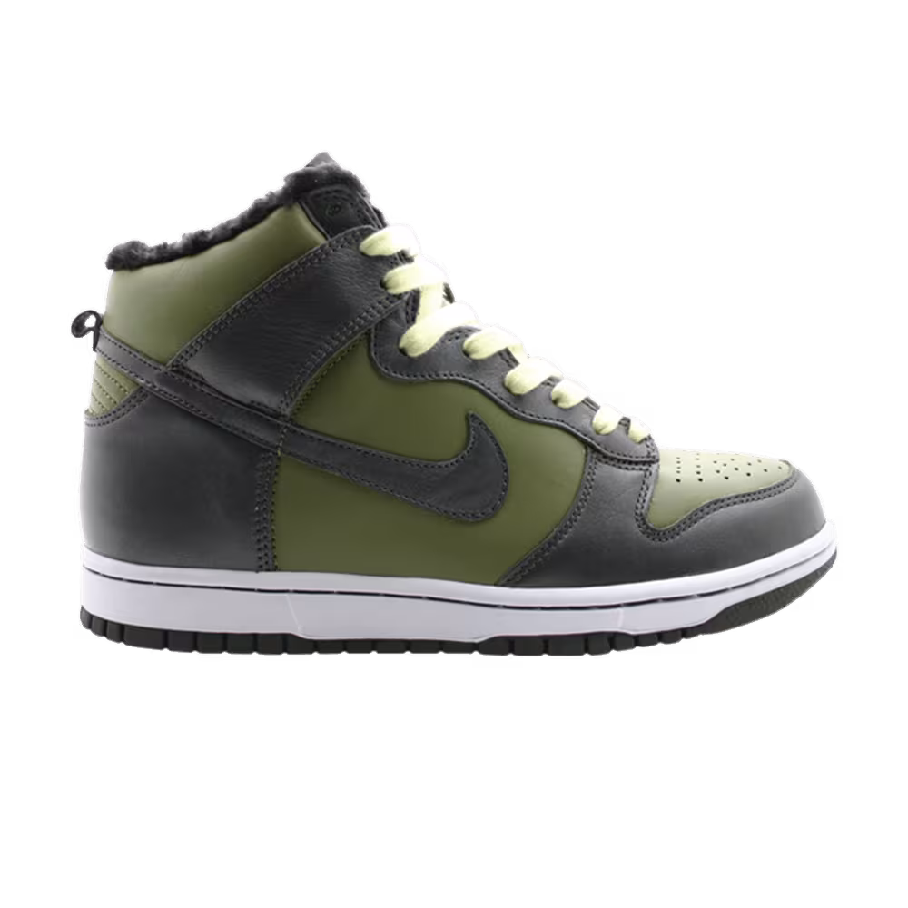 Nike Women's Dunk Hi