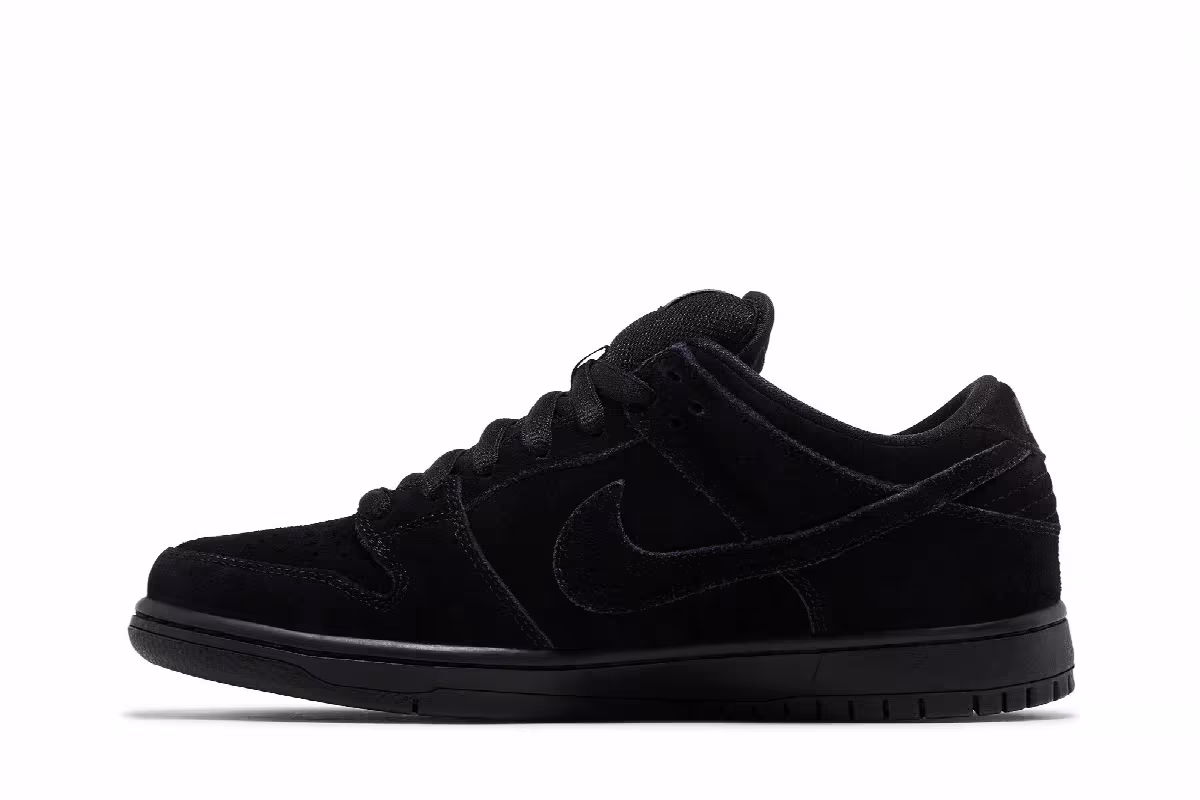 Nike Dunk Low Pro SB Blackout, view 4