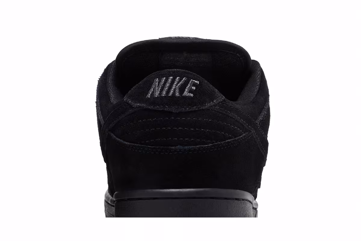 Nike Dunk Low Pro SB Blackout, view 8