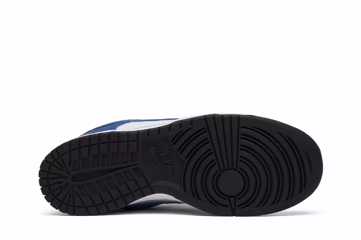 Nike Dunk Low Pro SB Neptune, view 5