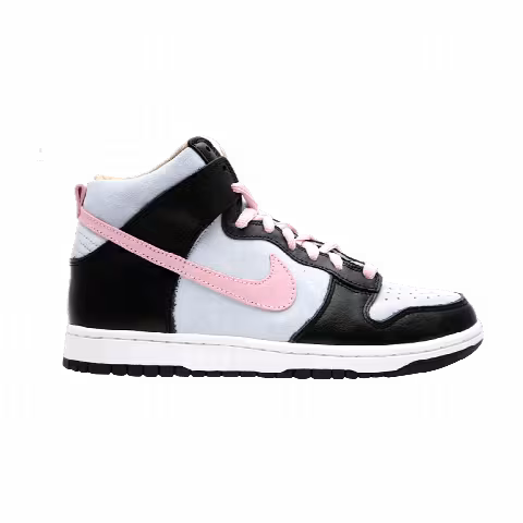 Nike Dunk High Pro Sb