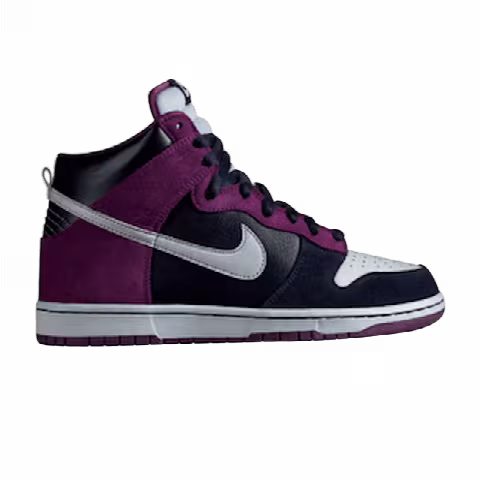 Nike Dunk High Pro SB 'Un-Heavens Gate'
