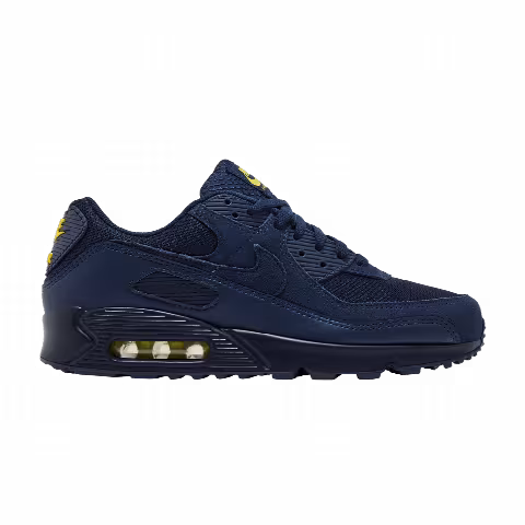 Nike Air Max 90 'Obsidian'