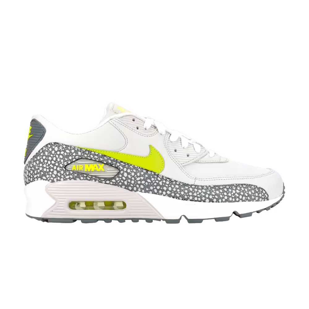 Nike Air Max 90 Leather Cactus Pack
